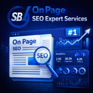 on page seo expert service for e commerce & business websites
